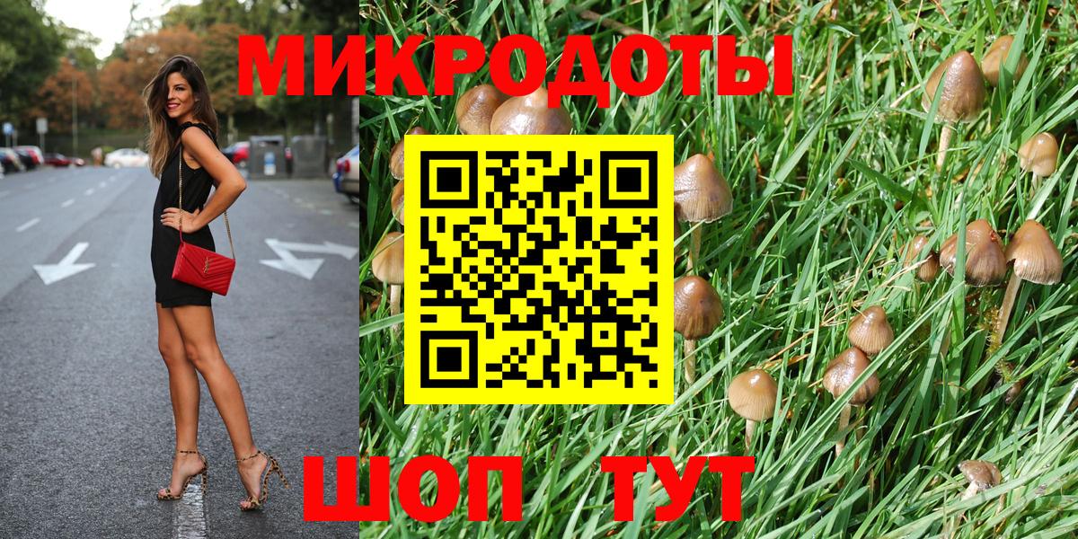 Галлюциногенные грибы Psilocybine cubensis  Вход с VPN  закладка  Волгодонск  Псилоцибиновые грибы мухоморы 
